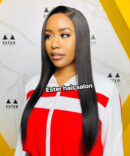 13x6 Glueless Wig 1b/Brown Color Straight Wig