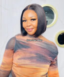 13X4 Lace Wig P1b/4 Straight Hair Wigs