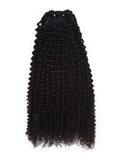 Raw Hair Kinky Curly Hair Weft Bundles